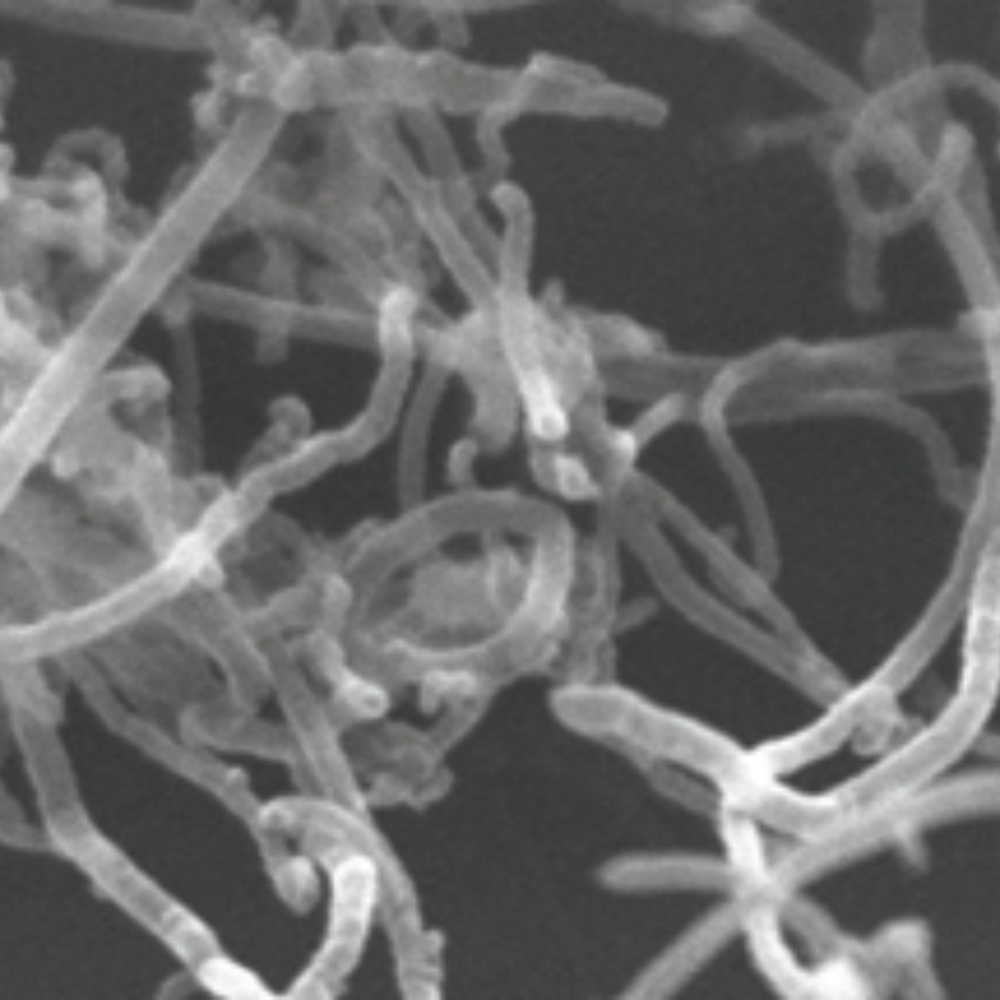 SNE-ALPHA Tarama Elektron Mikroskopu - Görünüm 2